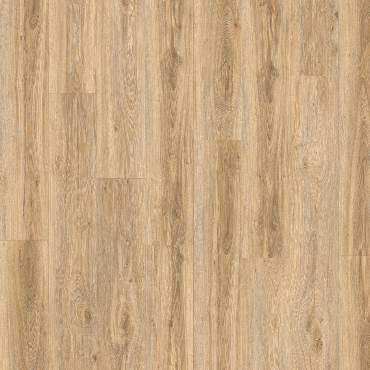 Moduleo - Roots - MODROOBJO22220STP - Blackjack Oak 22220